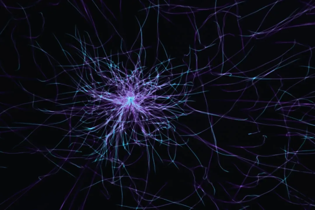 Illuminated brain cross-section showing neural pathways and glowing neurotransmitter connections for nootropics memory and fo