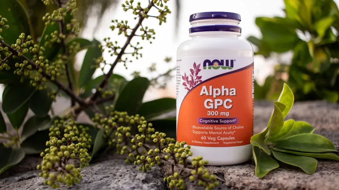 Natural nootropic ingredients including ginkgo leaves, bacopa monnieri, and lion's mane mushroom arranged on wood for memory 